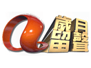 LyngSat Logo