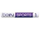 BeIn Sports 1 France